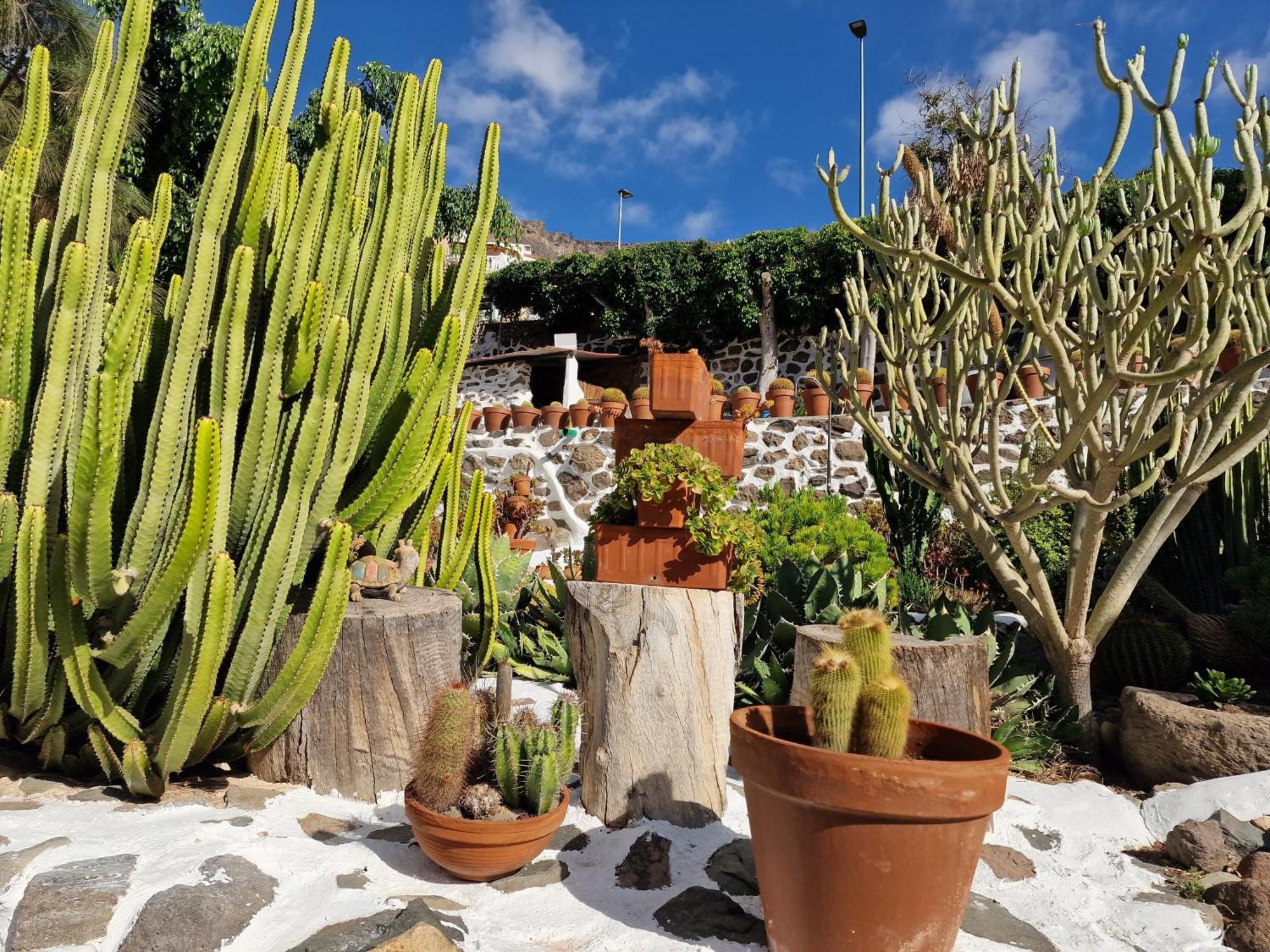 Вілла Historica Casa Con Vistas Al Jardin De Cactus Y Montanas Моган Екстер'єр фото