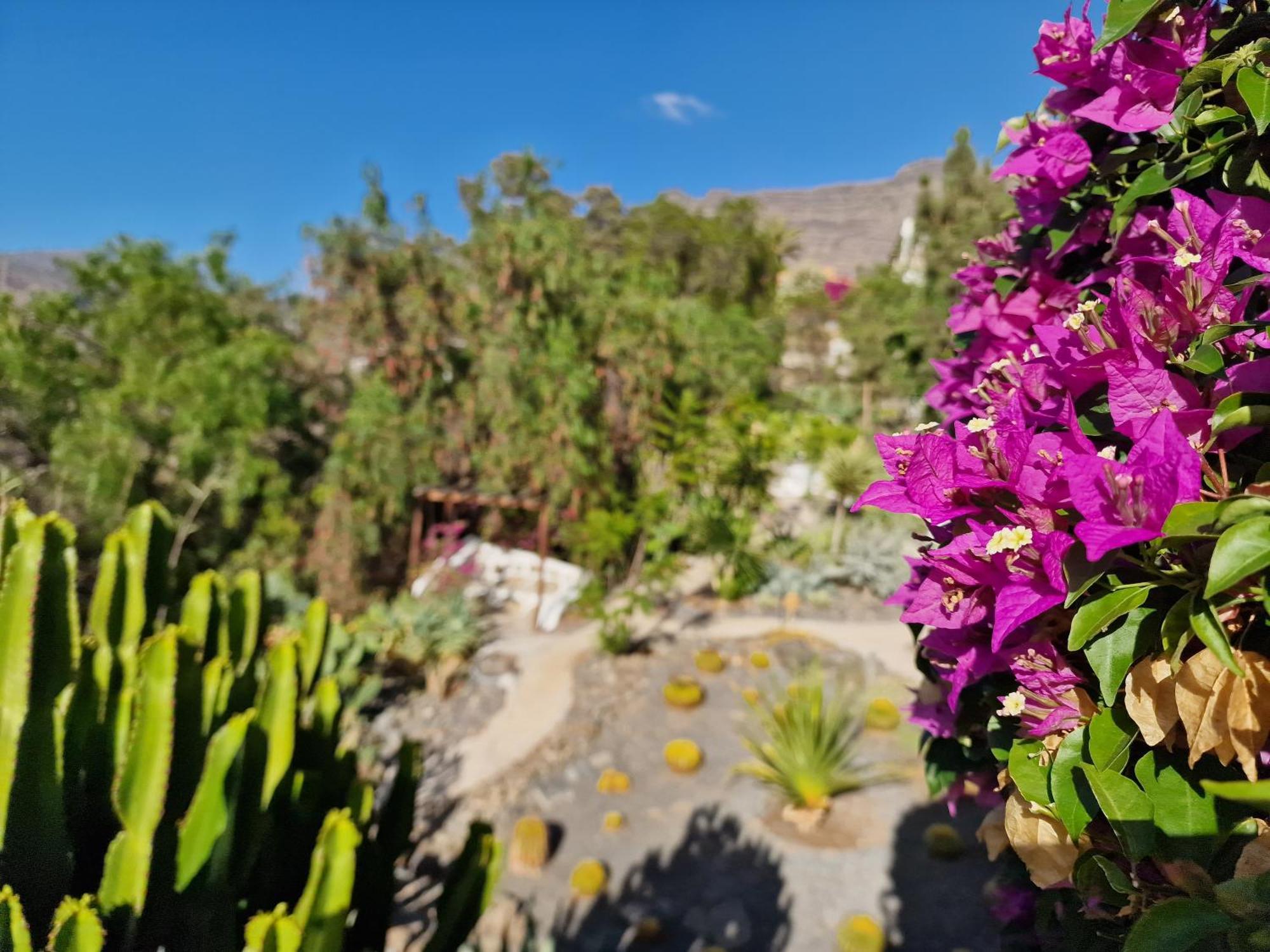 Вілла Historica Casa Con Vistas Al Jardin De Cactus Y Montanas Моган Екстер'єр фото